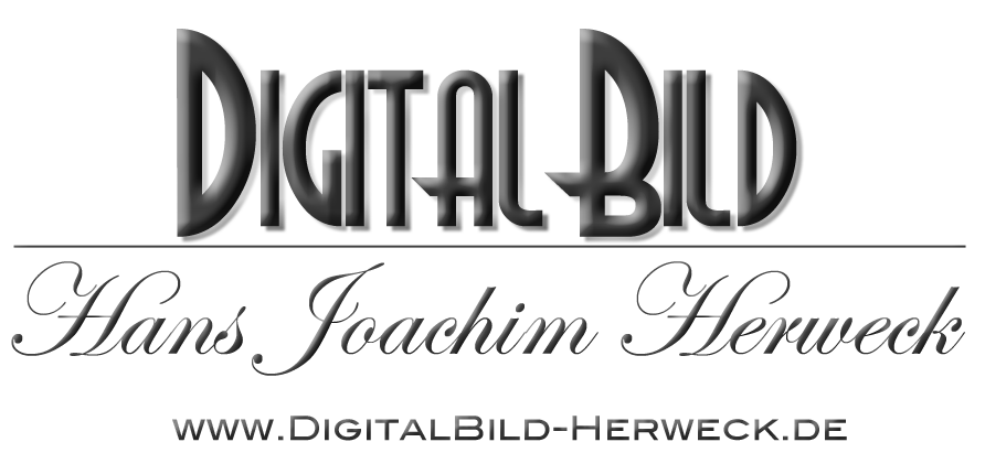 DigitalBild Logo